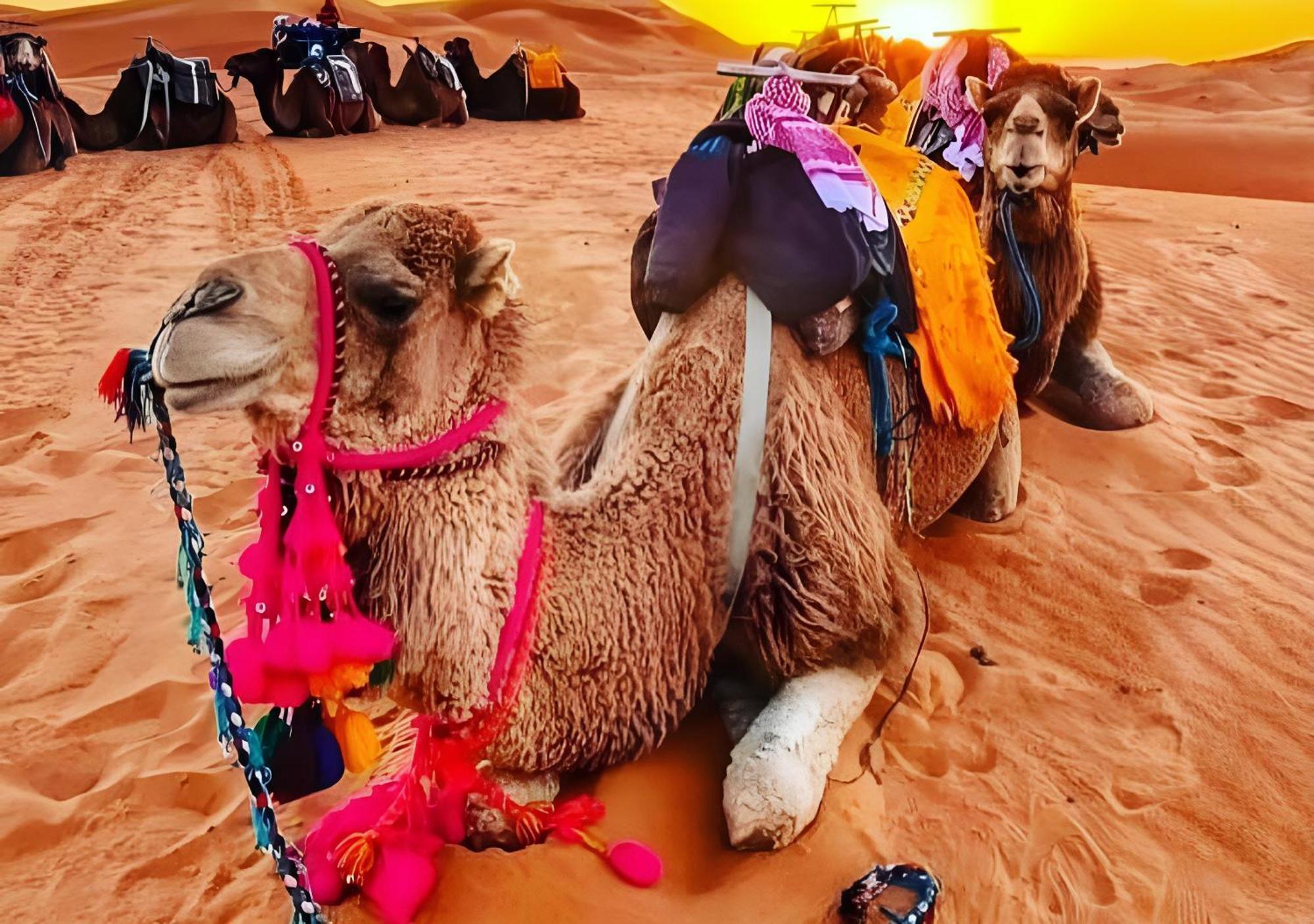 Merzouga Luxurious Tented 外观 照片